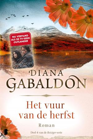 Cover of the book Het vuur van de herfst by Roald Dahl