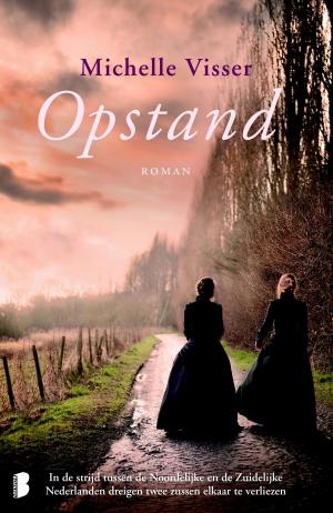 Cover of the book Opstand by Gillian Flynn