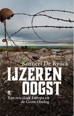 Cover of the book IJzeren oogst by Paul Auster