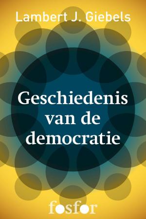 Cover of the book Geschiedenis van de democratie by J. Bernlef