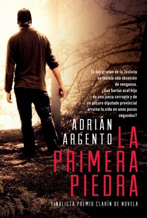 Cover of the book La primera piedra by Soledad Ferrari