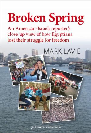 Cover of the book Broken Spring: An American-Israeli reporter's close-up view of how Egyptians lost their struggle for freedom by Ruth Kark, Joseph Glass