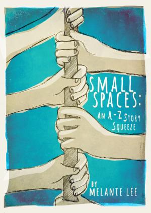 Cover of the book Small Spaces by Hilary Roots