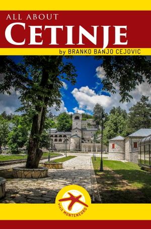 Book cover of All about CETINJE