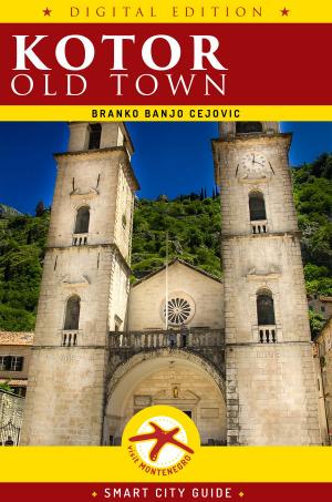 Book cover of Kotor Old Town