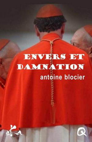 Cover of the book Envers et damnation by Mouloud Akkouche