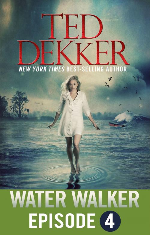 Cover of the book Water Walker Episode 4 (of 4) by Ted Dekker, Outlaw Studios