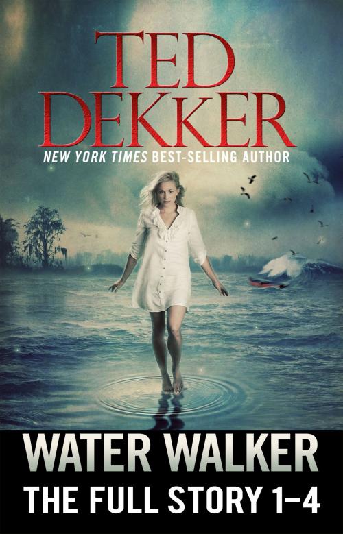 Cover of the book Water Walker (The Full Story, 1-4) by Ted Dekker, Outlaw Studios