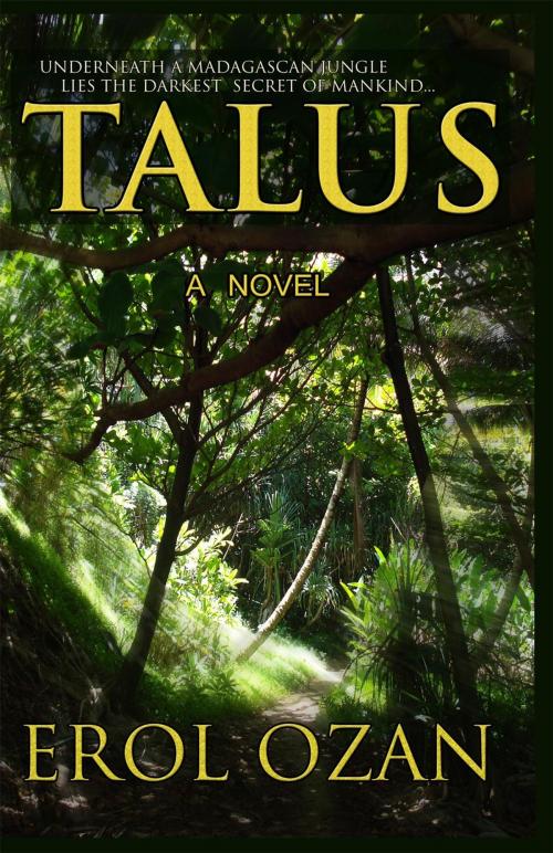 Cover of the book Talus by Erol Ozan, Gonzague Erol Ozan
