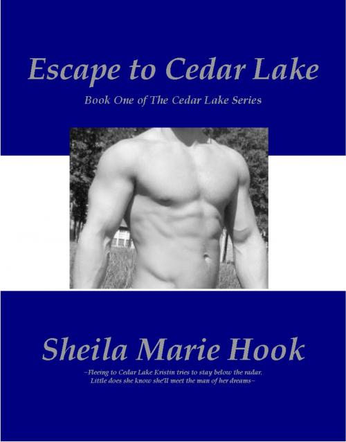Cover of the book Escape to Cedar Lake by Sheila Marie Hook, Sheila Marie Hook