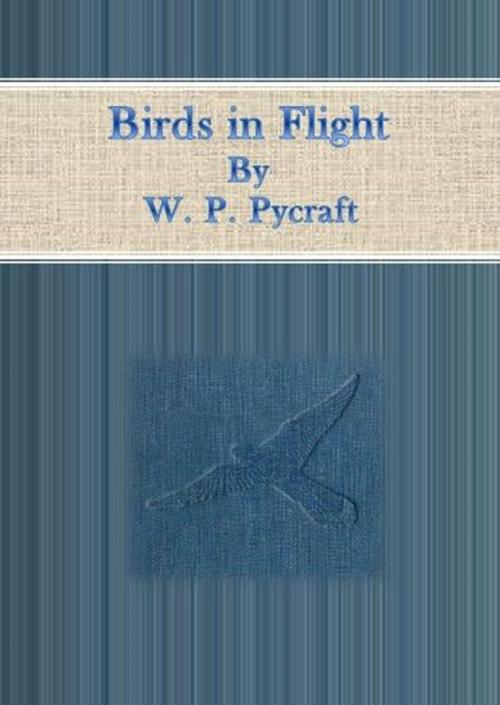 Cover of the book Birds in Flight by W. P. Pycraft, cbook6556