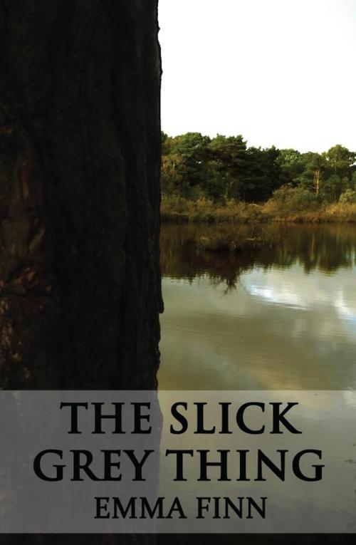 Cover of the book The Slick Grey Thing by Emma Finn, Nockton Vale