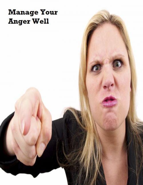 Cover of the book Manage Your Anger Well by V.T., V.T.