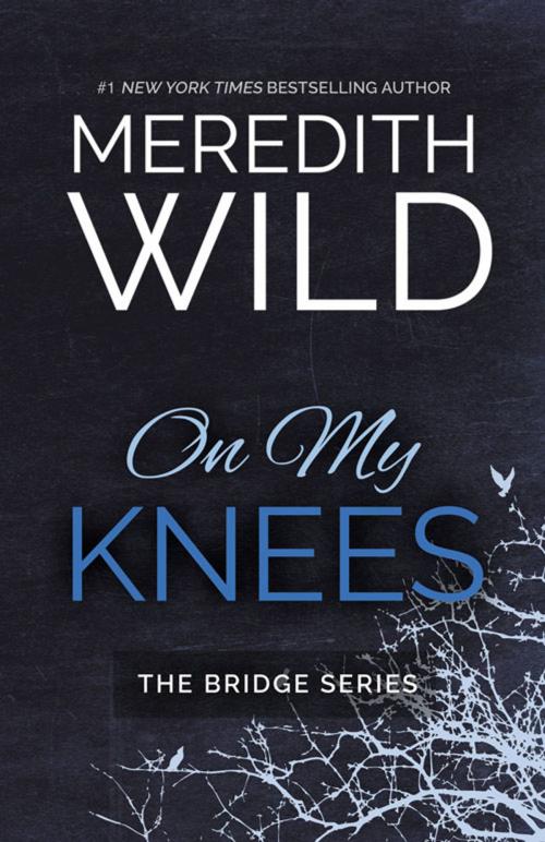 Cover of the book On My Knees by Meredith Wild, Waterhouse Press