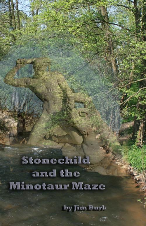 Cover of the book Stonechild and the Minotaur Maze by Jim Burk, Jim Burk