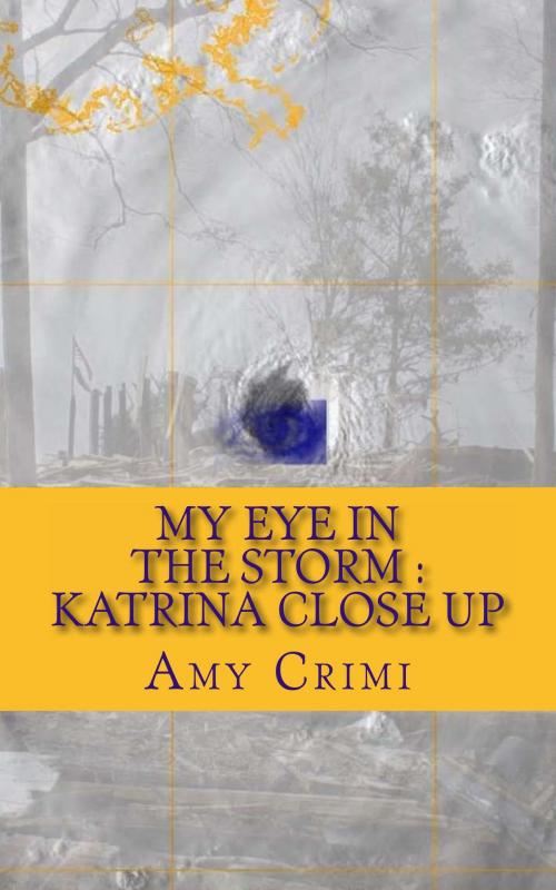 Cover of the book My Eye In the Storm - Katrina Close Up by Amy Crimi, Lucky Lamb Publications