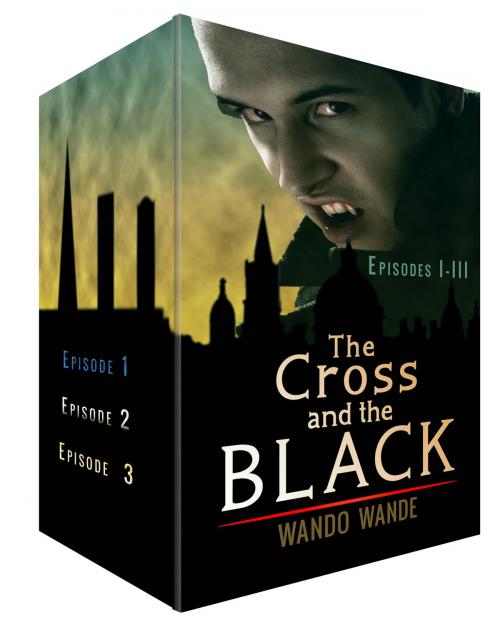 Cover of the book The Cross and the Black by Luwa Wande, Crazyfish Olefish Press