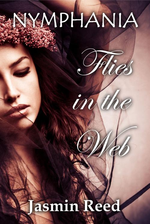 Cover of the book Flies in the Web by Jasmin Reed, Bonafide Media