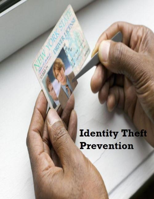 Cover of the book Identity Theft Prevention by V.T., V.T.