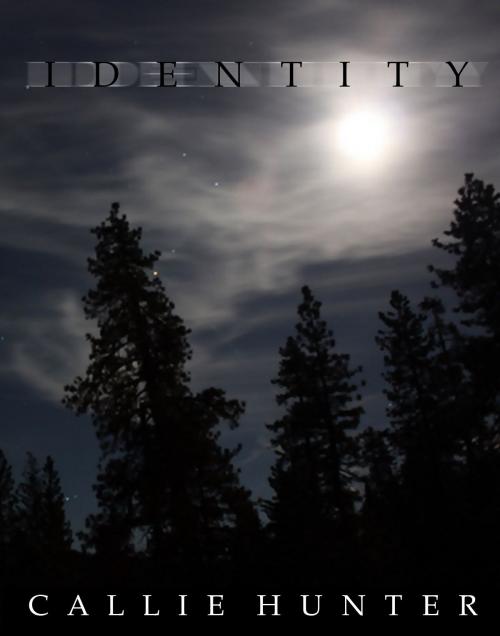 Cover of the book Identity by Callie Hunter, Titan InKorp