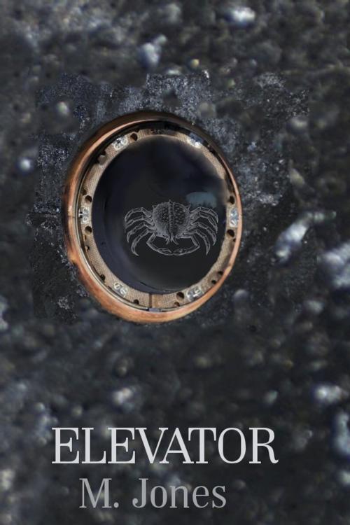 Cover of the book Elevator by M Jones, Bloodletters Ink