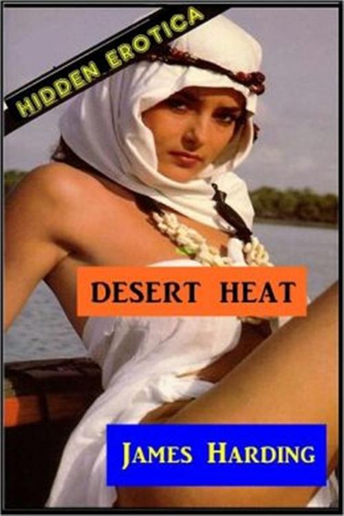 Cover of the book Desert Heat by James Harding, Sinful Tales