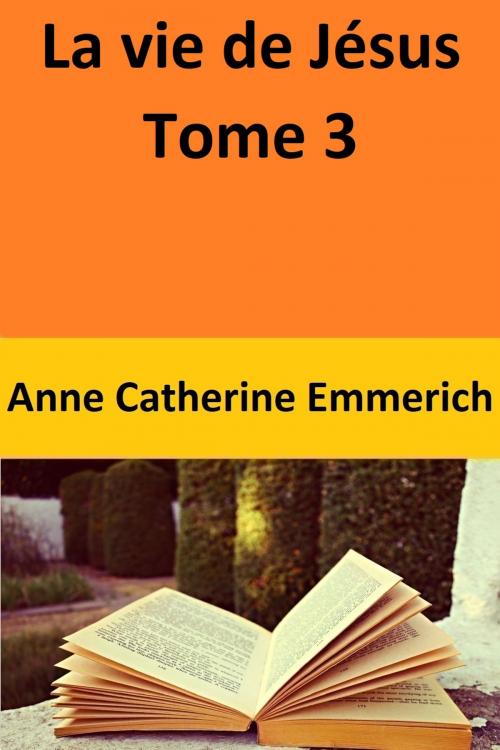 Cover of the book La vie de Jésus Tome 3 by Anne Catherine Emmerich, Anne Catherine Emmerich