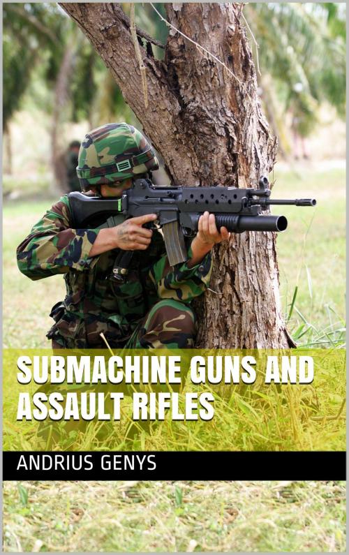 Cover of the book Submachine Guns and Assault Rifles | Military-Today.com by Andrius Genys, Andrius Genys