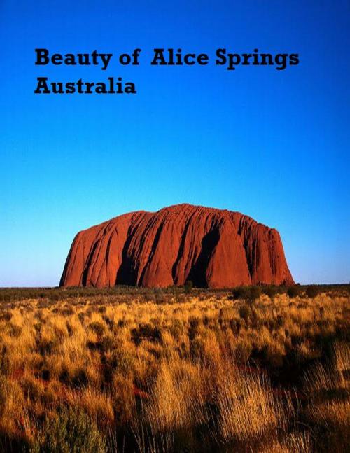 Cover of the book Beauty of Alice Springs Australia by V.T., V.T.