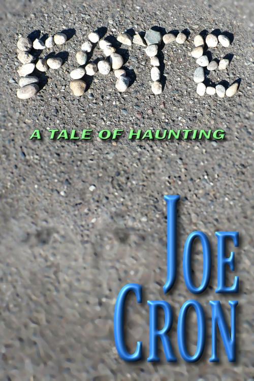 Cover of the book Fate by Joe Cron, Lardin Press