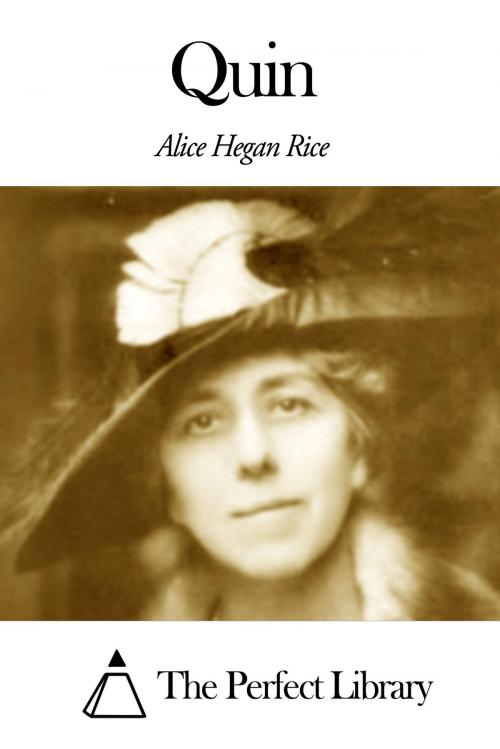 Cover of the book Quin by Alice Hegan Rice, The Perfect Library