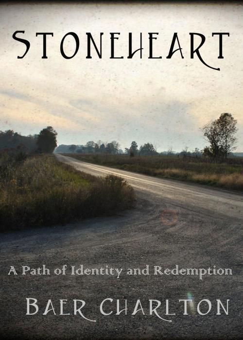 Cover of the book Stoneheart by Baer Charlton, Baer Charlton