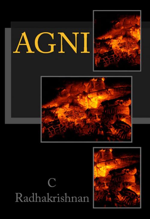 Cover of the book Agni by C Radhakrishnan, Hi-Tech Books
