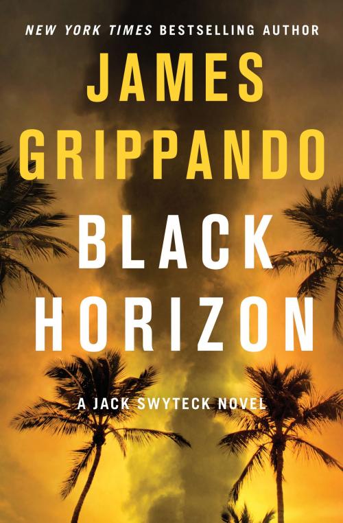 Cover of the book Black Horizon by James Grippando, Harper