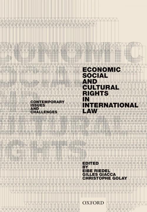 Cover of the book Economic, Social, and Cultural Rights in International Law by , OUP Oxford
