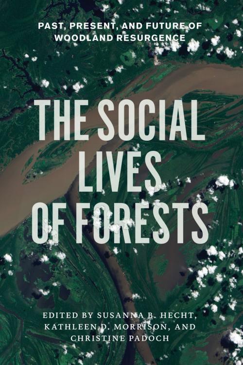 Cover of the book The Social Lives of Forests by , University of Chicago Press