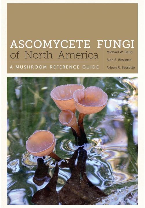 Cover of the book Ascomycete Fungi of North America by Michael Beug, Alan E. Bessette, Arleen R. Bessette, University of Texas Press