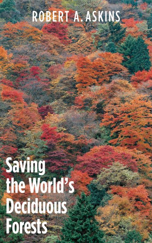 Cover of the book Saving the World's Deciduous Forests by Robert A. Askins, Yale University Press