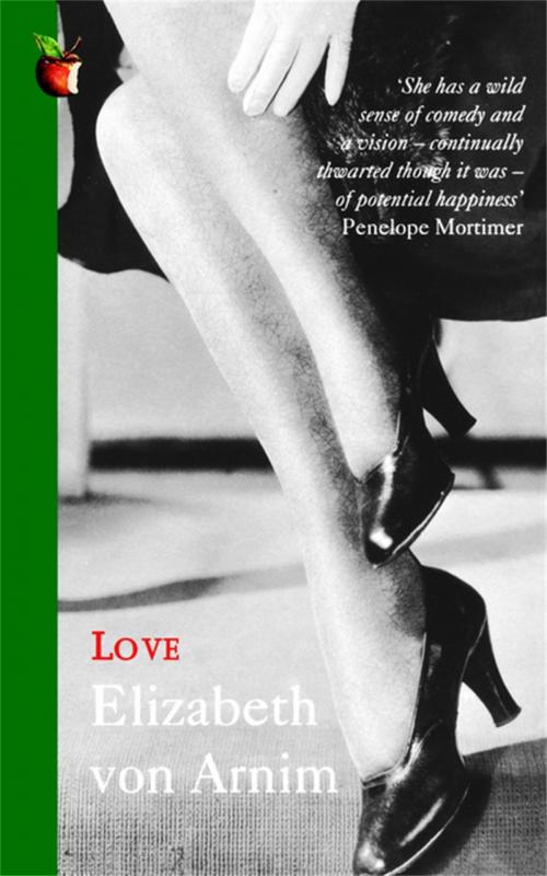Cover of the book Love by Elizabeth von Arnim, Little, Brown Book Group
