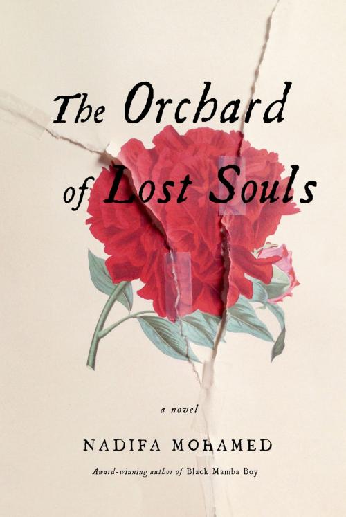 Cover of the book The Orchard of Lost Souls by Nadifa Mohamed, Farrar, Straus and Giroux