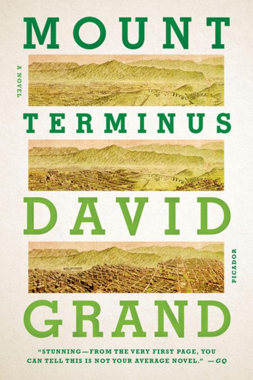 Cover of the book Mount Terminus by David Grand, Farrar, Straus and Giroux
