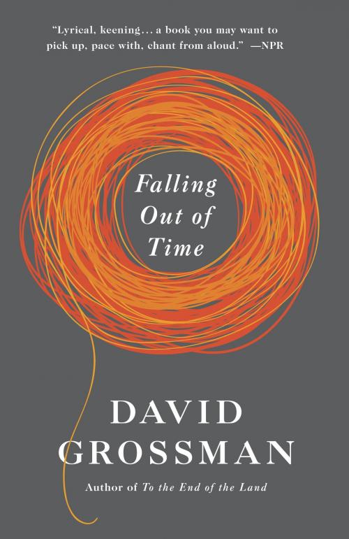Cover of the book Falling Out of Time by David Grossman, Knopf Doubleday Publishing Group