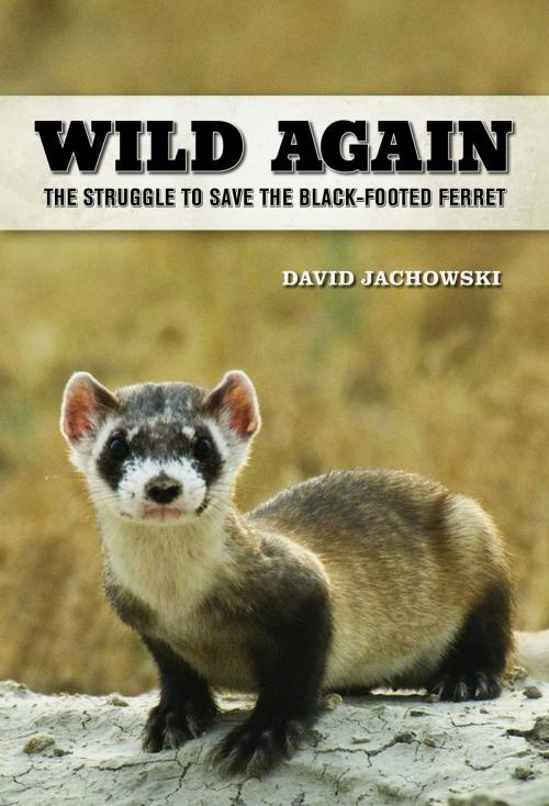 Cover of the book Wild Again by David S. Jachowski, University of California Press