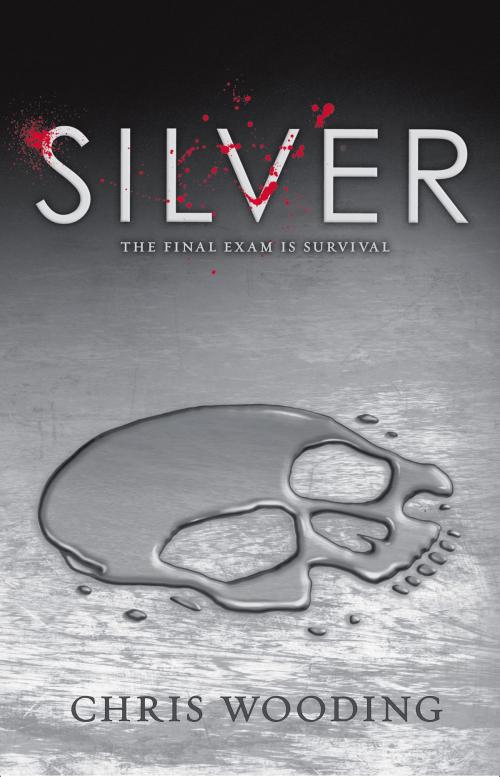 Cover of the book Silver by Chris Wooding, Scholastic Inc.