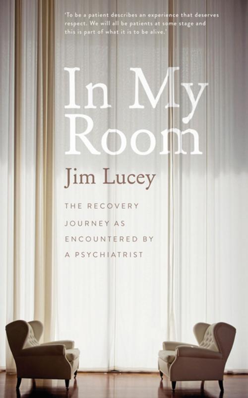 Cover of the book In My Room by Professor Jim Lucey, Gill Books