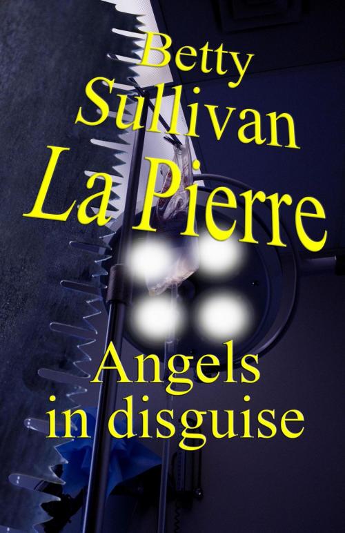 Cover of the book Angels in Disguise by Betty Sullivan La Pierre, SynergEbooks