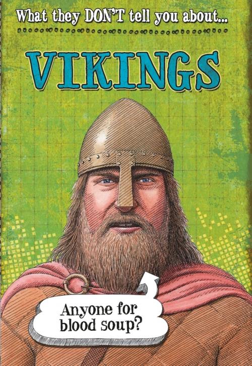 Cover of the book Vikings by Robert Fowke, Hachette Children's