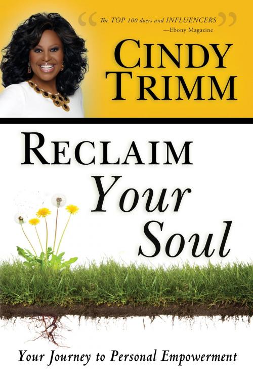 Cover of the book Reclaim Your Soul by Cindy Trimm, Destiny Image, Inc.