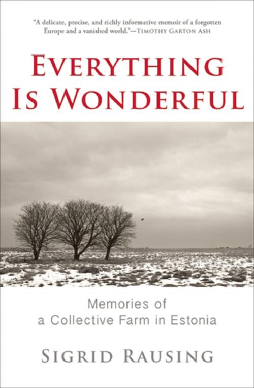 Cover of the book Everything Is Wonderful by Sigrid Rausing, Grove Atlantic