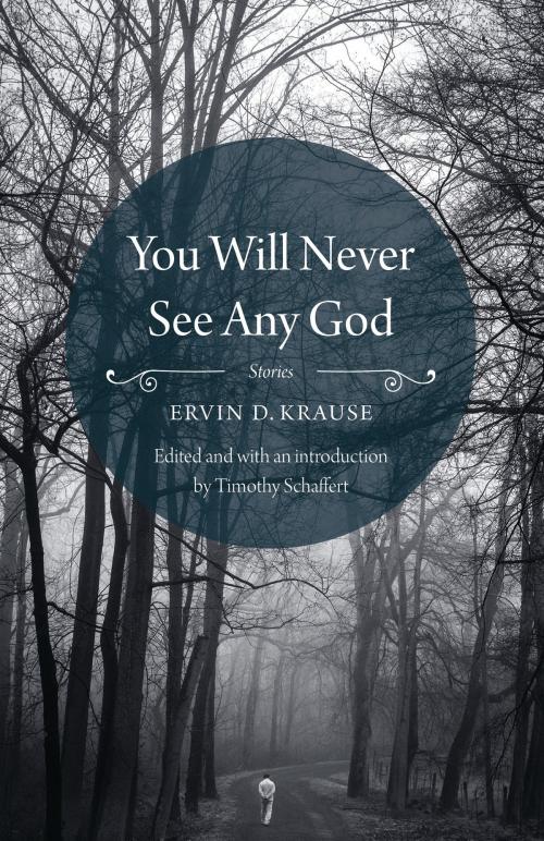 Cover of the book You Will Never See Any God by Ervin D. Krause, UNP - Bison Books